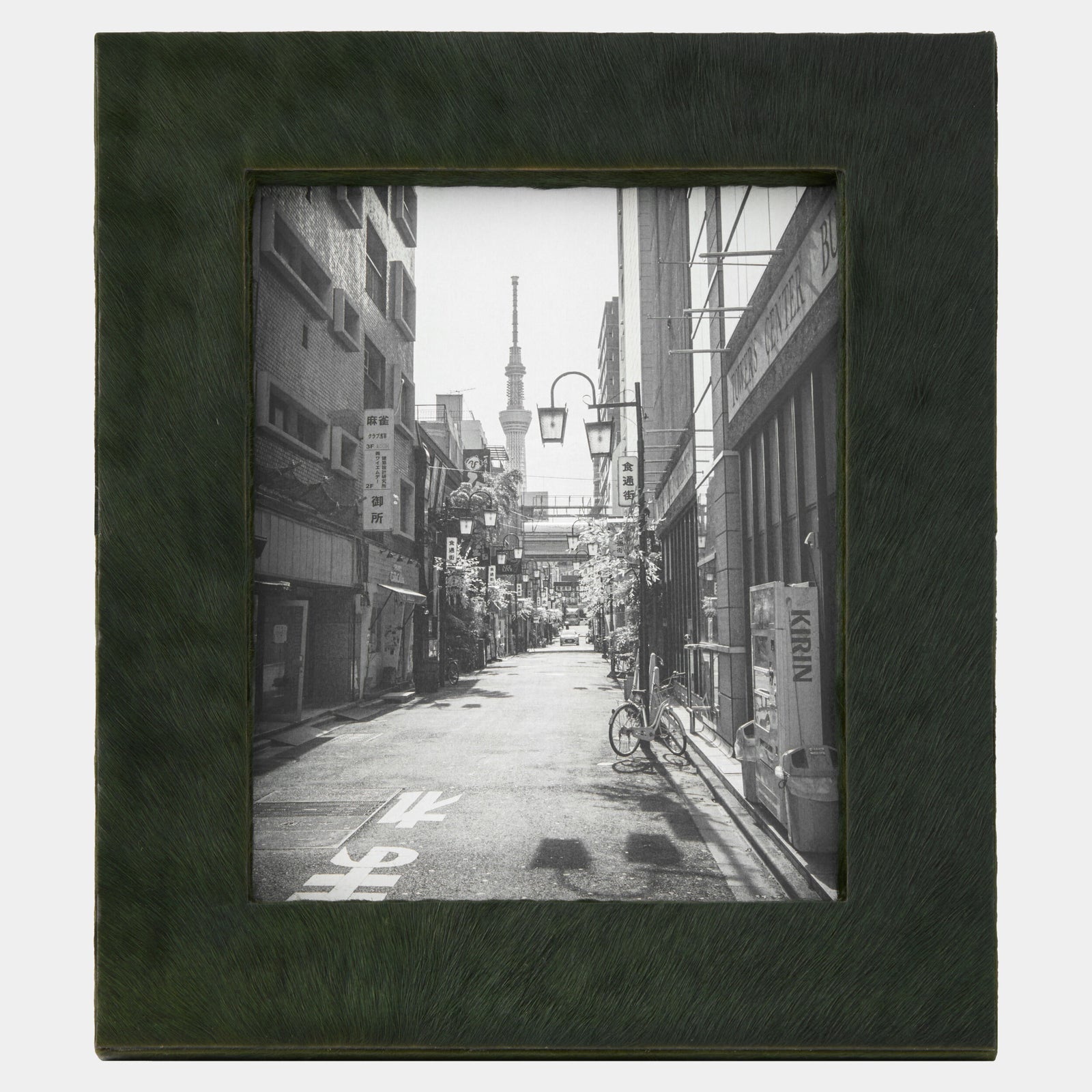Posh Picture Frame-8x10-Green Hair-on-Hide