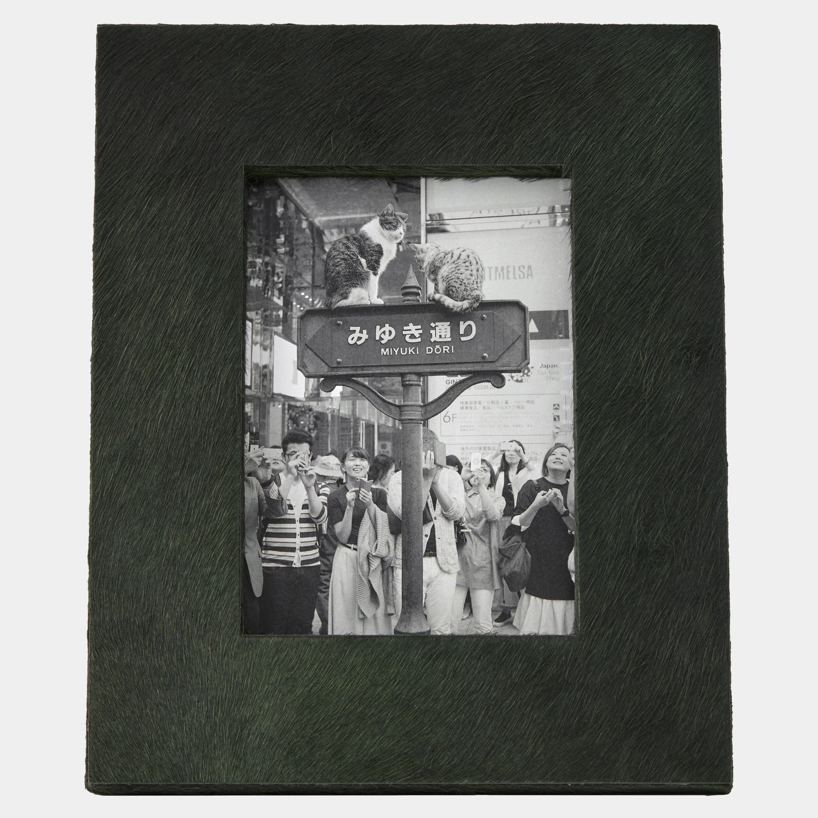 Posh Picture Frame-5x7-Green Hair-on-Hide