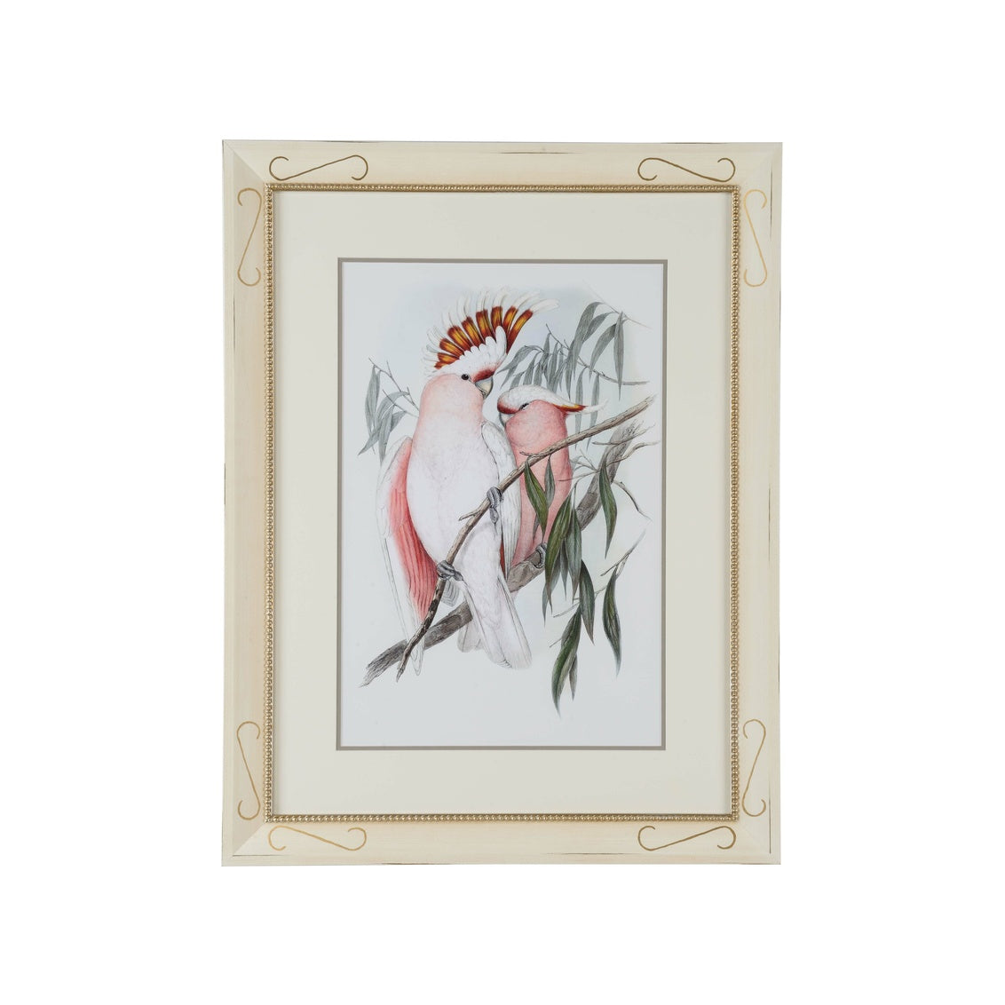 Pastel Parrots I in 35.5h x 27.25w x 1.25d / Giclee - Chelsea House