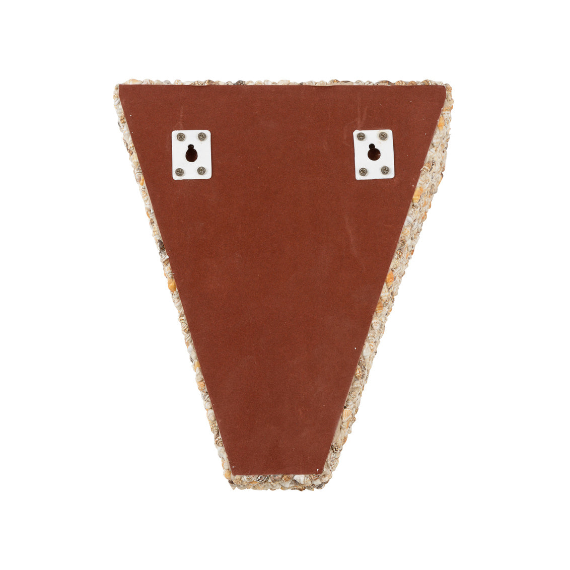 Shell Bracket - Natural in 12 / Nassa Shell - Chelsea House