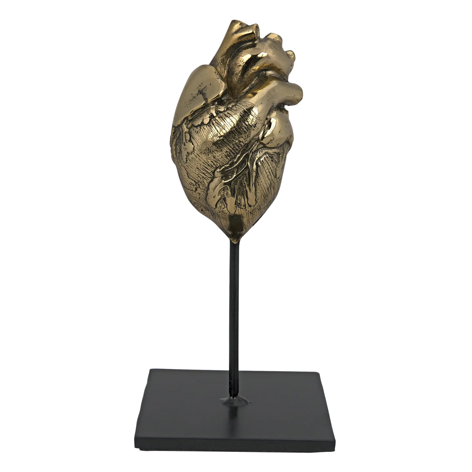 Heart, Brass and Iron by Noir Furniture | Sutter & Vale