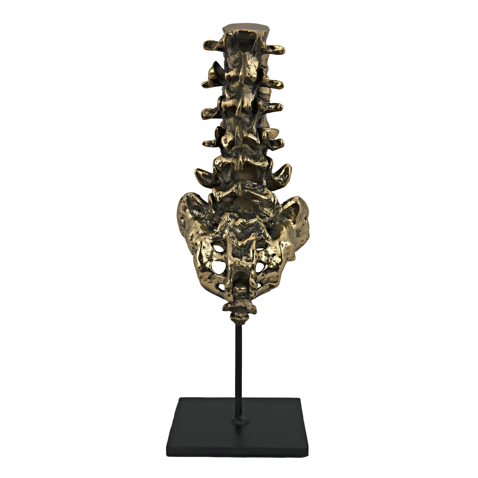 Vertebrae, Brass and Iron by Noir Furniture | Sutter & Vale