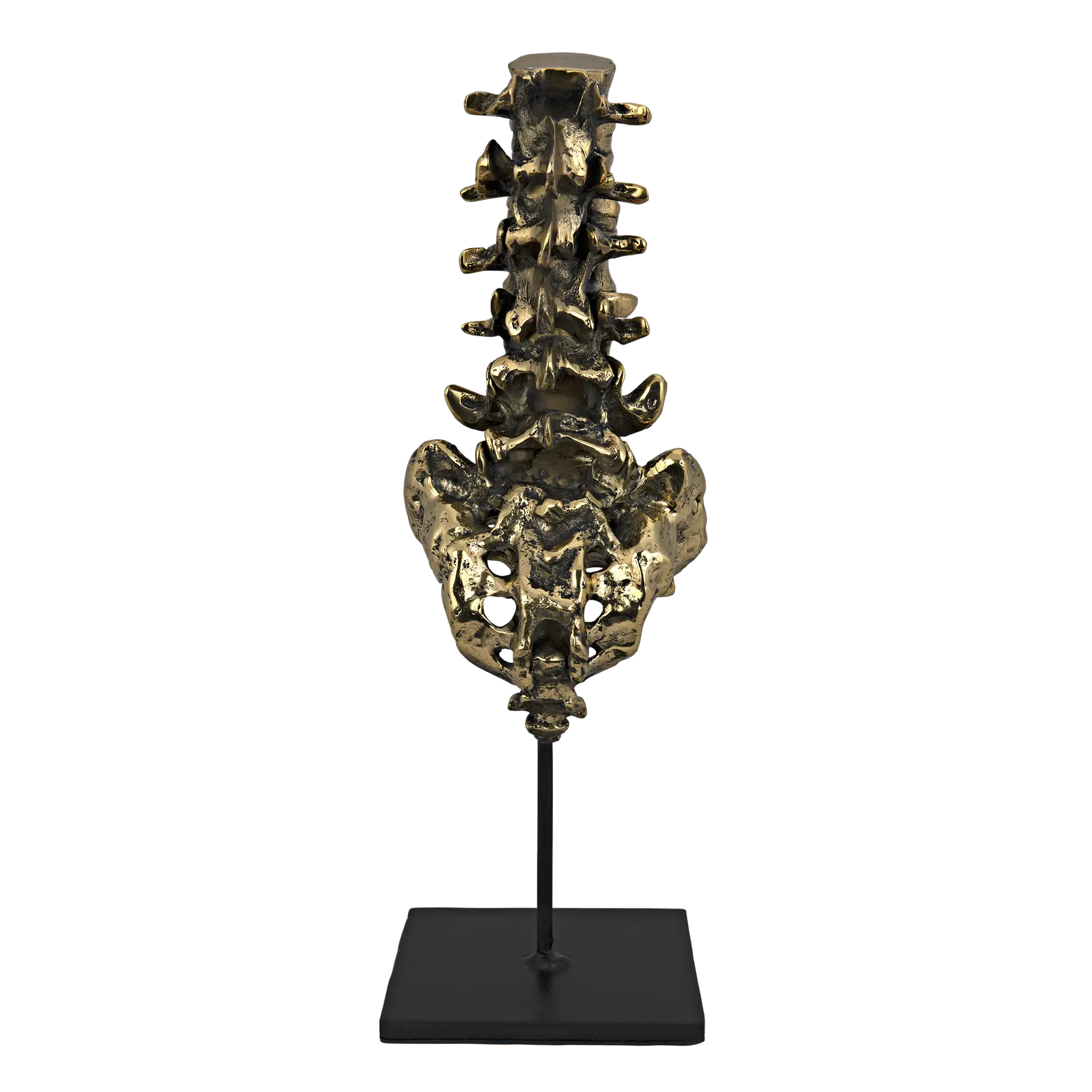 Vertebrae, Brass and Iron in Antique Brass W/ Matte Black Base — Noir Furniture