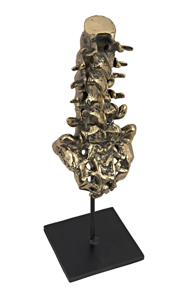 Vertebrae, Brass and Iron in Antique Brass W/ Matte Black Base — Noir Furniture