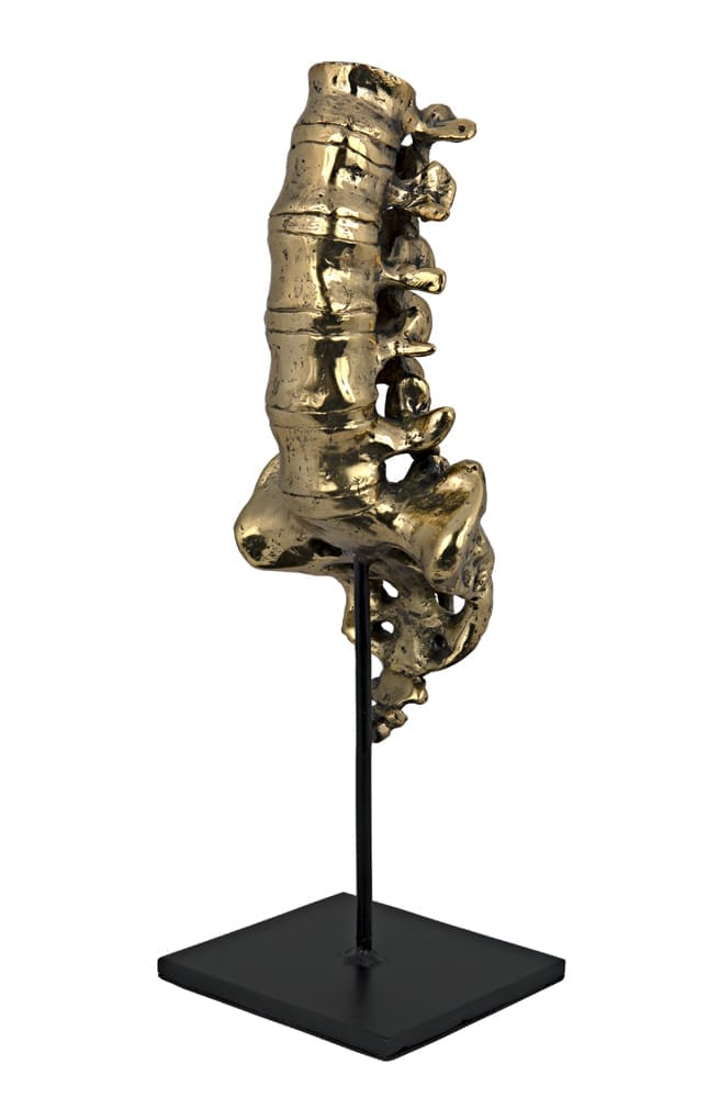 Vertebrae, Brass and Iron in Antique Brass W/ Matte Black Base — Noir Furniture