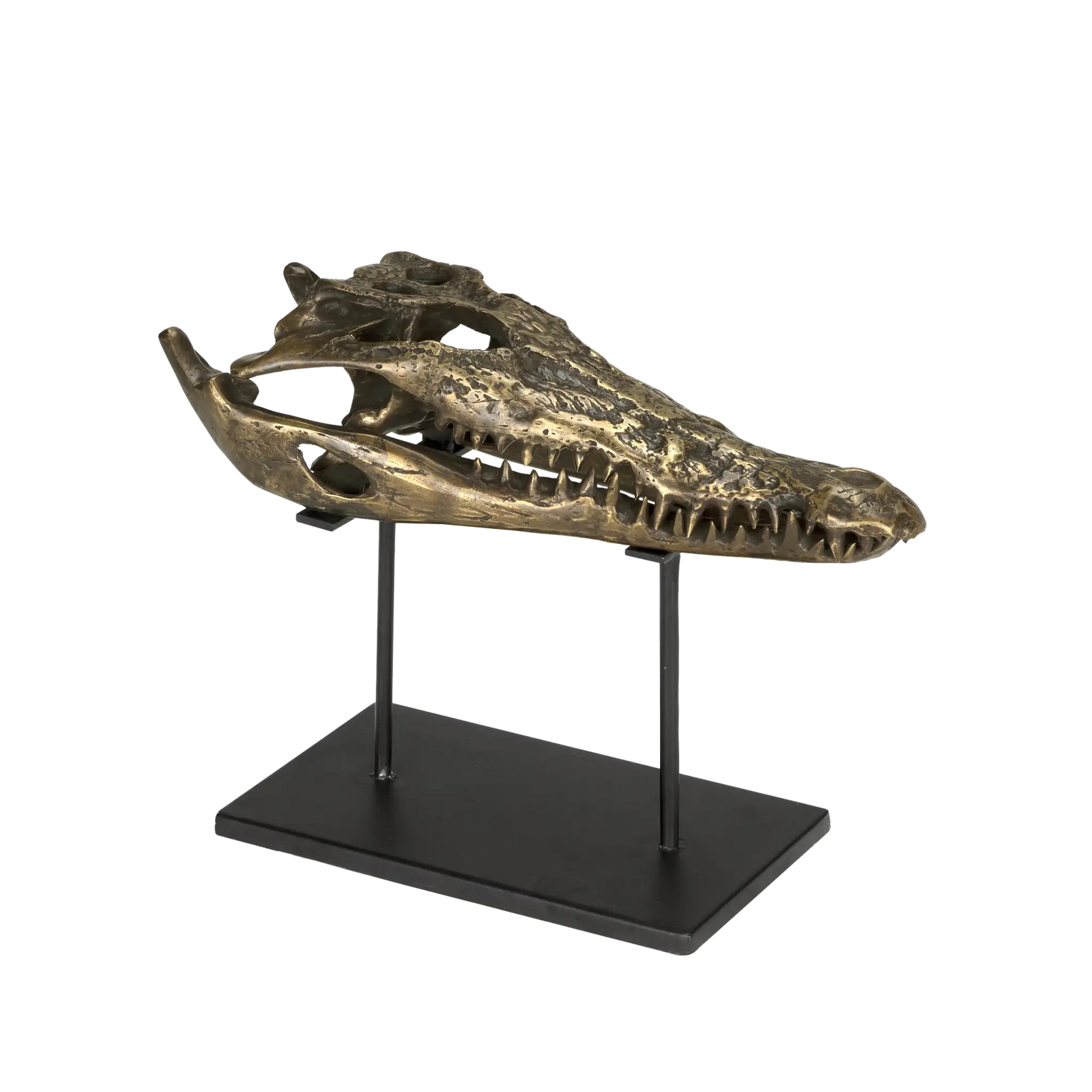 Brass Alligator On Stand, Medium by Noir Furniture | Sutter & Vale