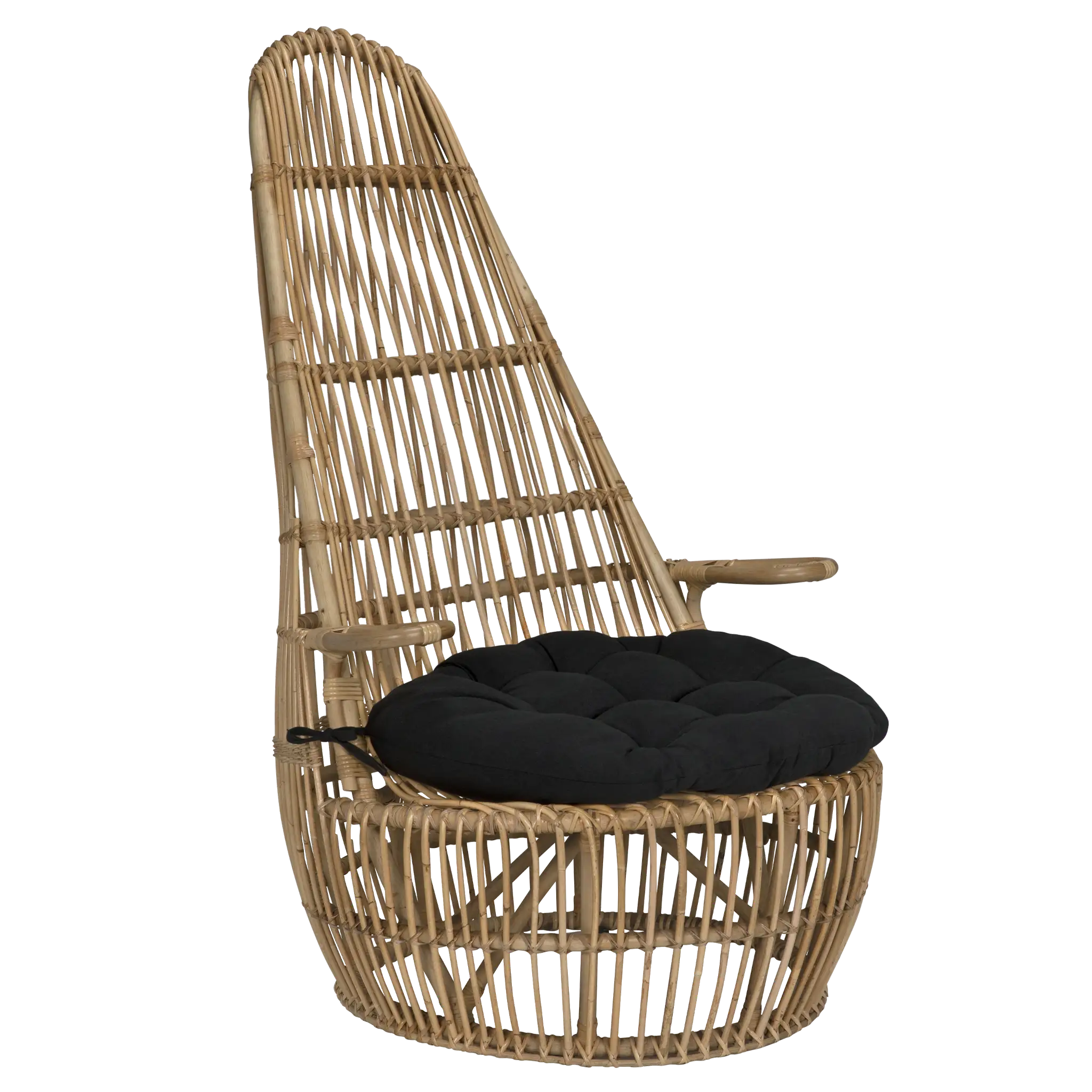 Clementine Chair in Clear Coat Flat — Noir Furniture