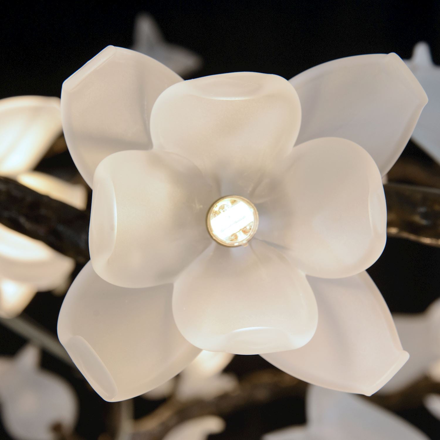 Churippu Magnolia & Tulip Glass Bronze Twelve-Light Halo Chandelier – Ceiling Lighting by John Richard | Sutter & Vale