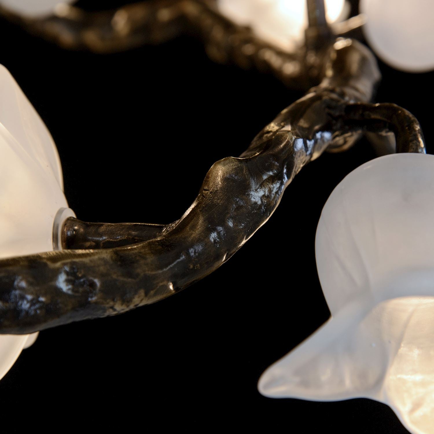 Churippu Magnolia & Tulip Glass Bronze Twelve-Light Halo Chandelier – Ceiling Lighting by John Richard | Sutter & Vale