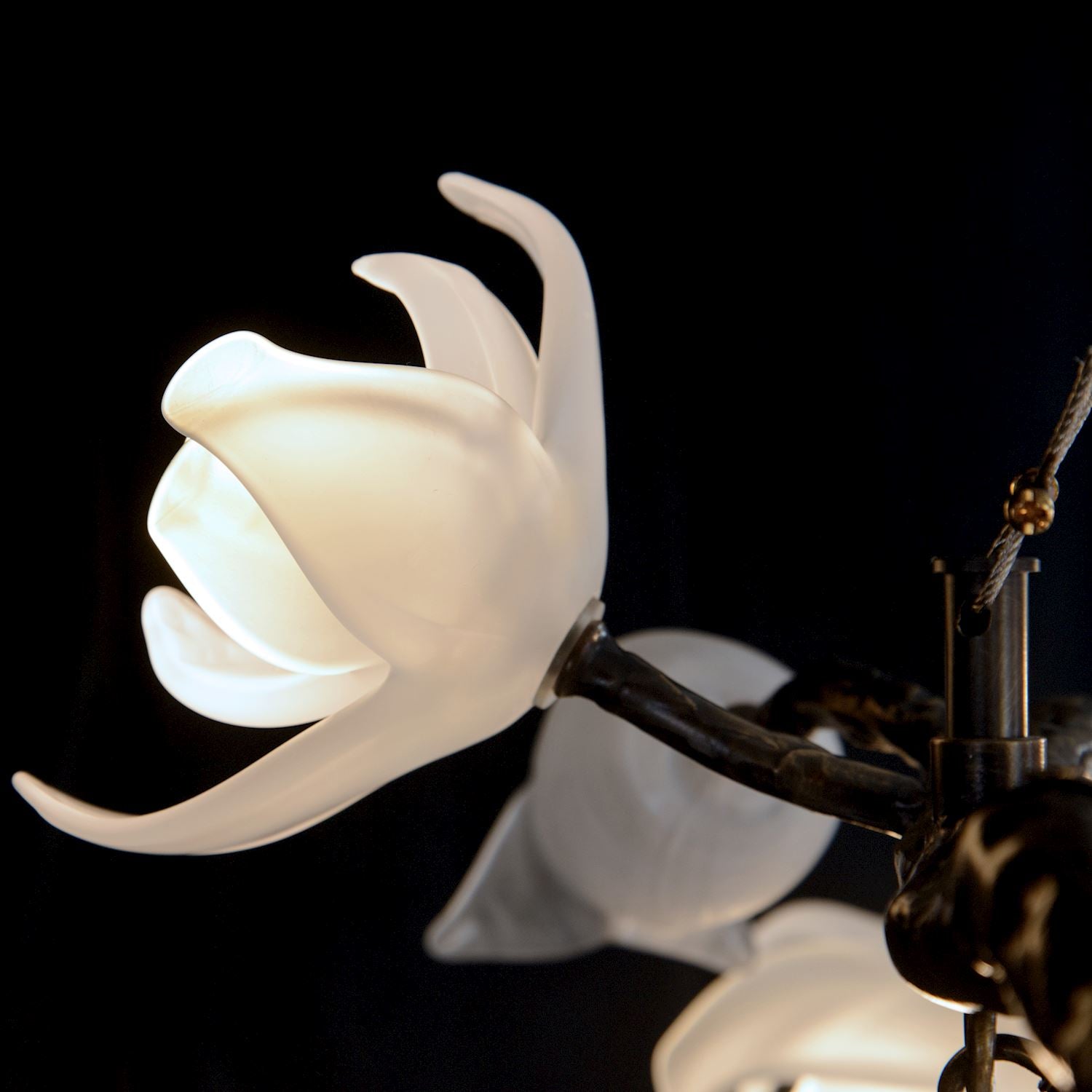 Churippu Magnolia & Tulip Glass Bronze Vertical Twenty-One Light Chandelier – Ceiling Lighting by John Richard | Sutter & Vale