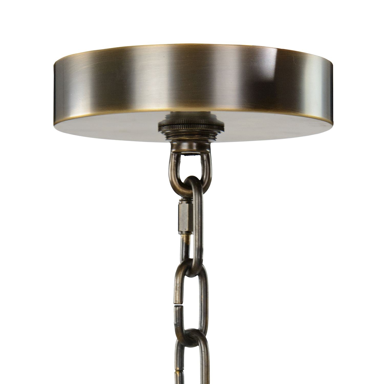 Churippu Magnolia & Tulip Glass Bronze Vertical Twenty-One Light Chandelier – Ceiling Lighting by John Richard | Sutter & Vale