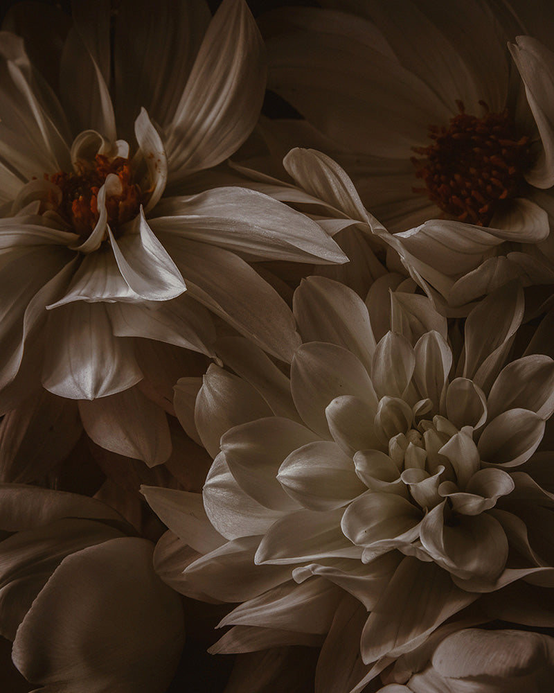 Cinnamon Burst 1 — artwork