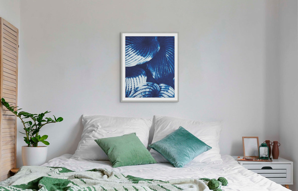 Hosta 1 in a room