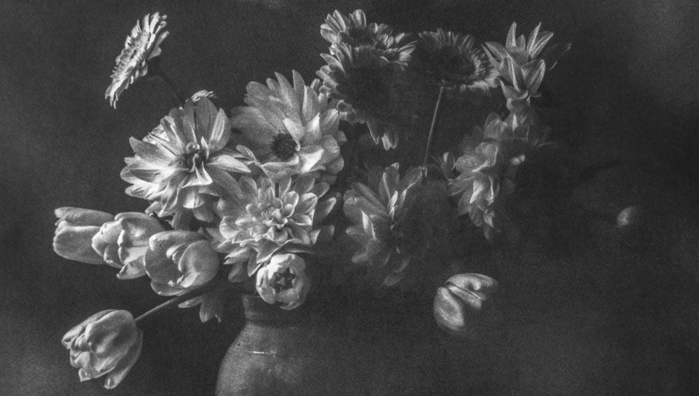 Moonlight Dancers 3 artwork