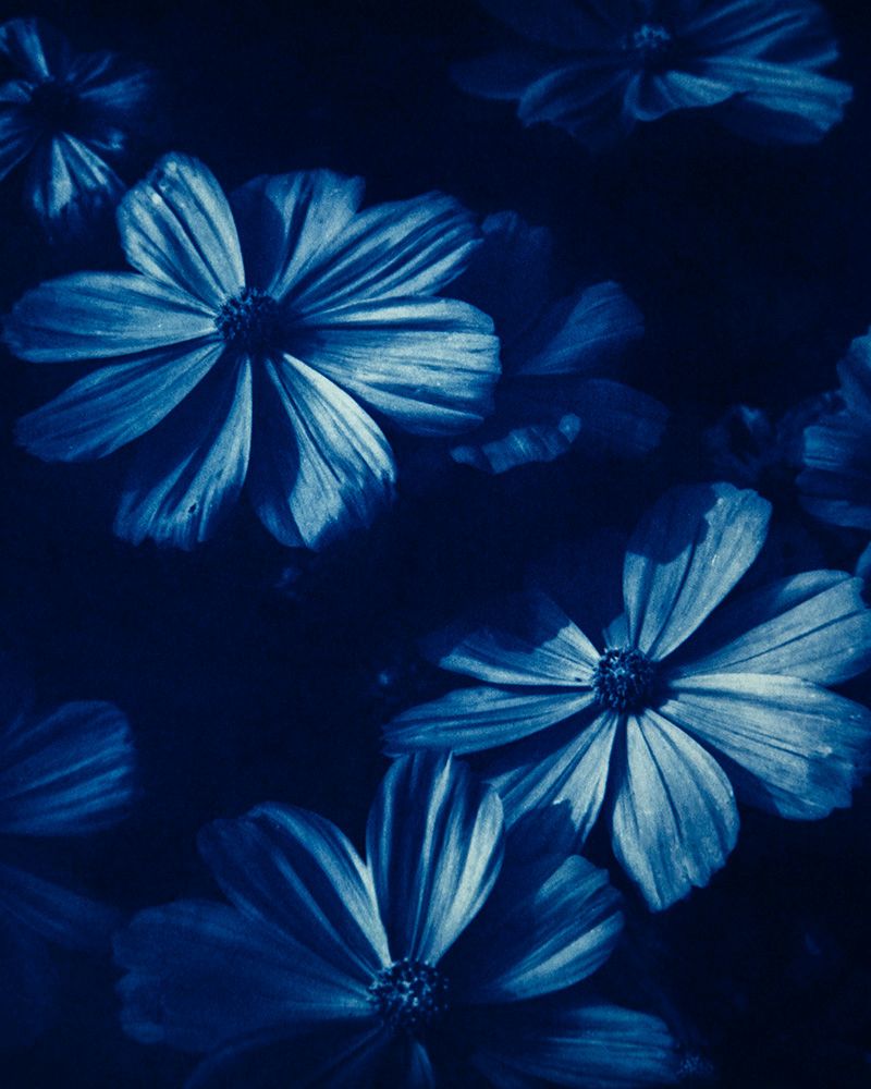 Mare Di Azzurro 1 artwork