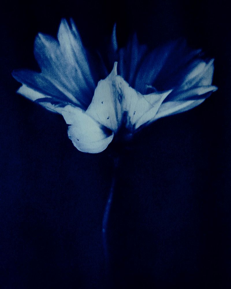 Ritratto 1 artwork