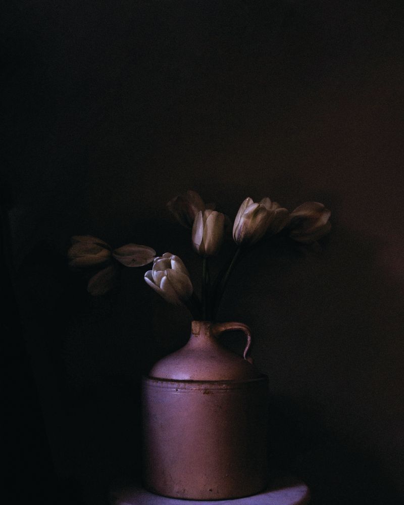 Tulip Mood 1 artwork