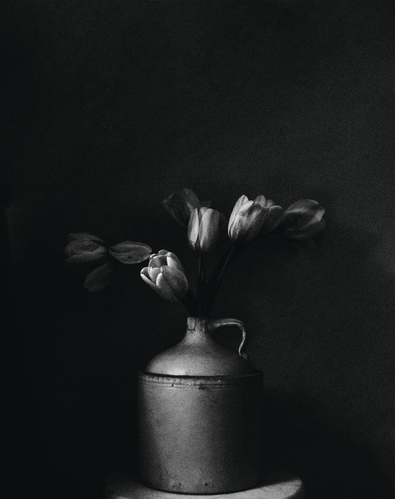 Tulip in Vessel 1 artwork
