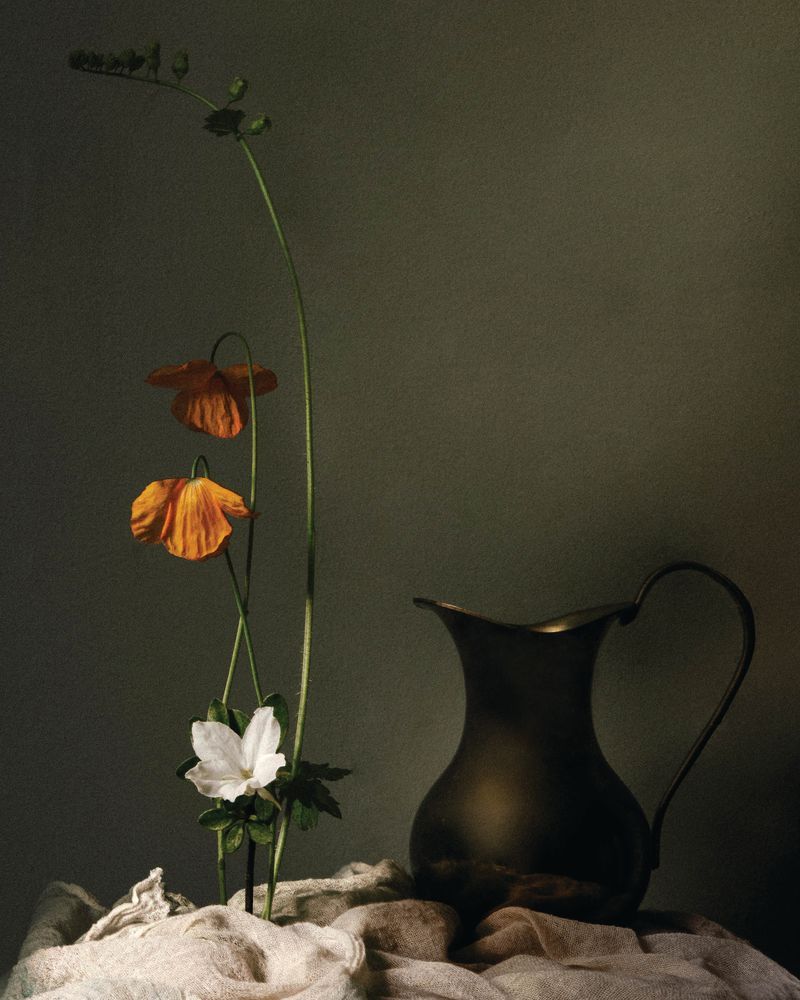 Wild Poppies 1 artwork