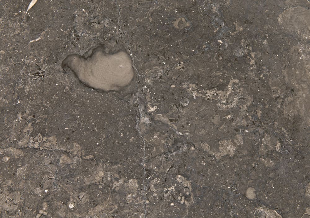 Barnes Side Table in Black and White Marble — Noir Furniture