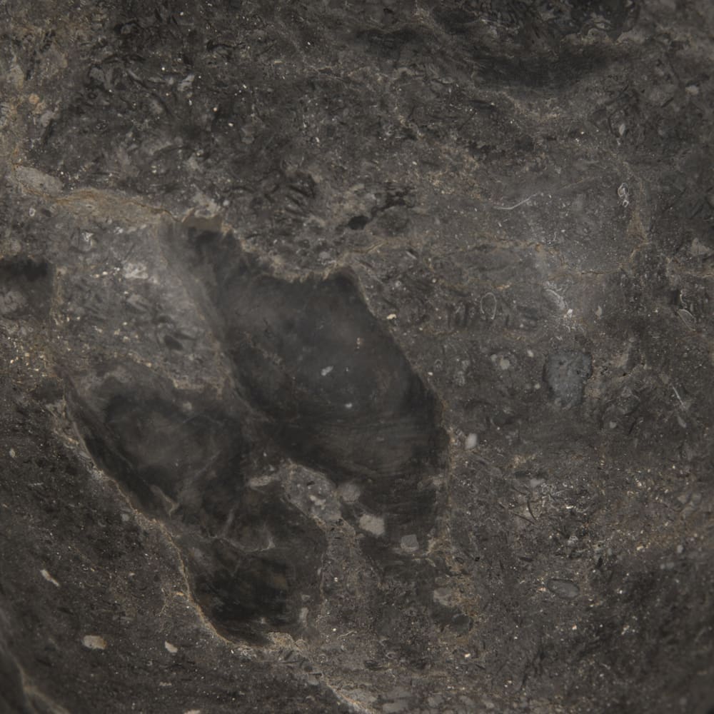 Neo in Black Marble — Noir Furniture