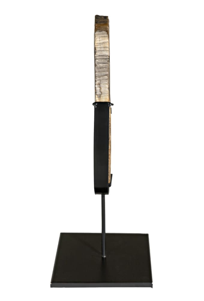 Wood Fossil with Stand, 12″ by Noir Furniture | Sutter & Vale