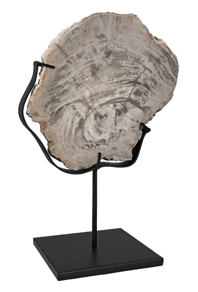 Wood Fossil with Stand, 8″ by Noir Furniture | Sutter & Vale