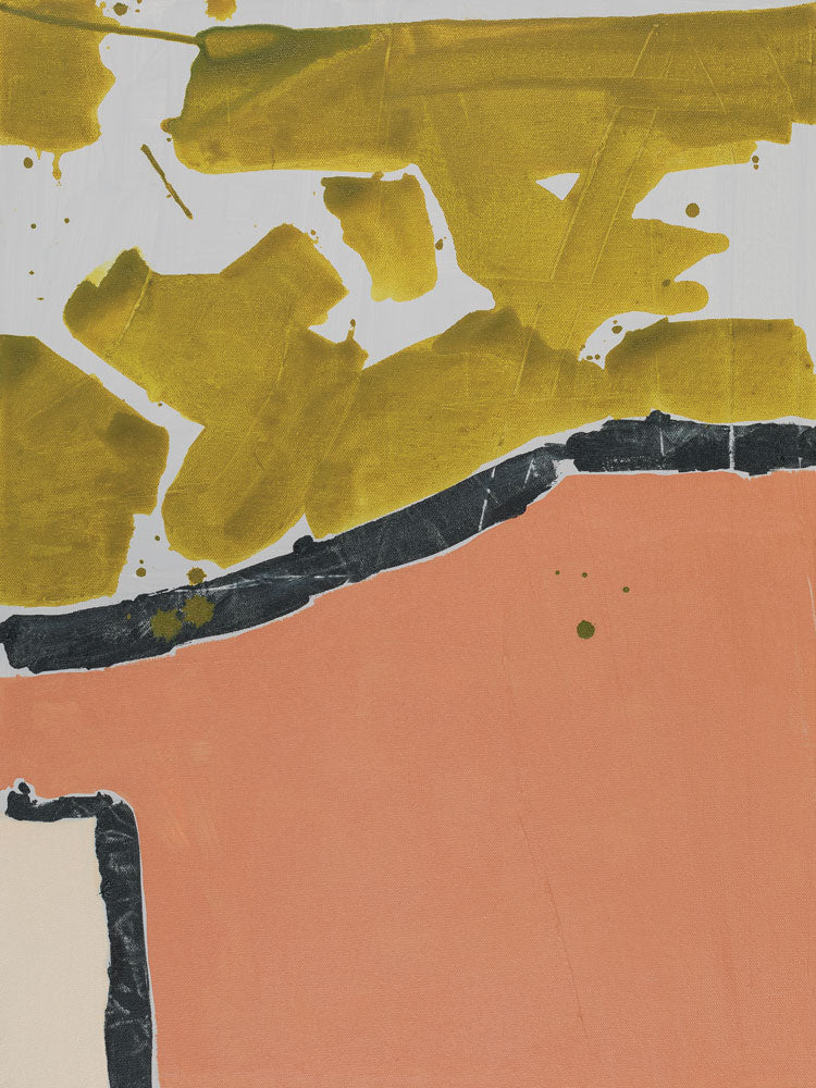 Apricot Hues 2 artwork