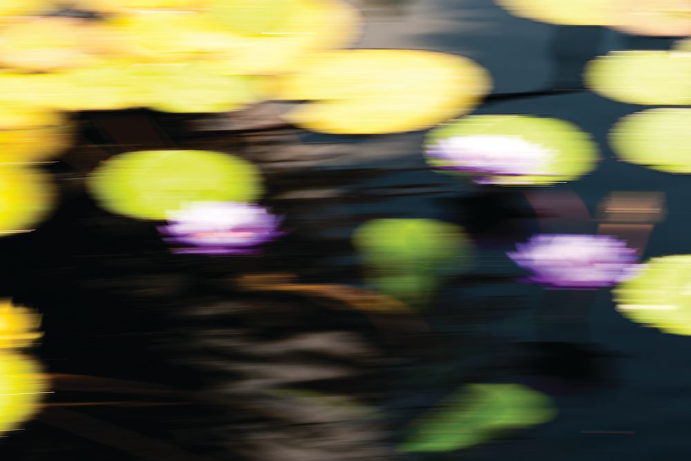 Intimation of Memory 1 artwork