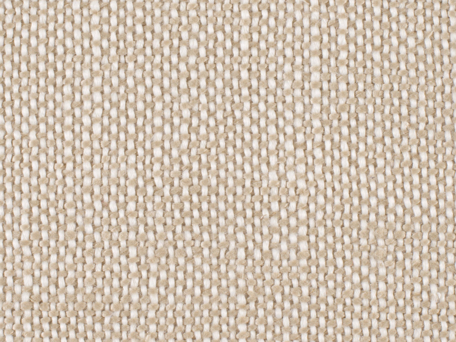 Archivist Upholstered Side Chair
