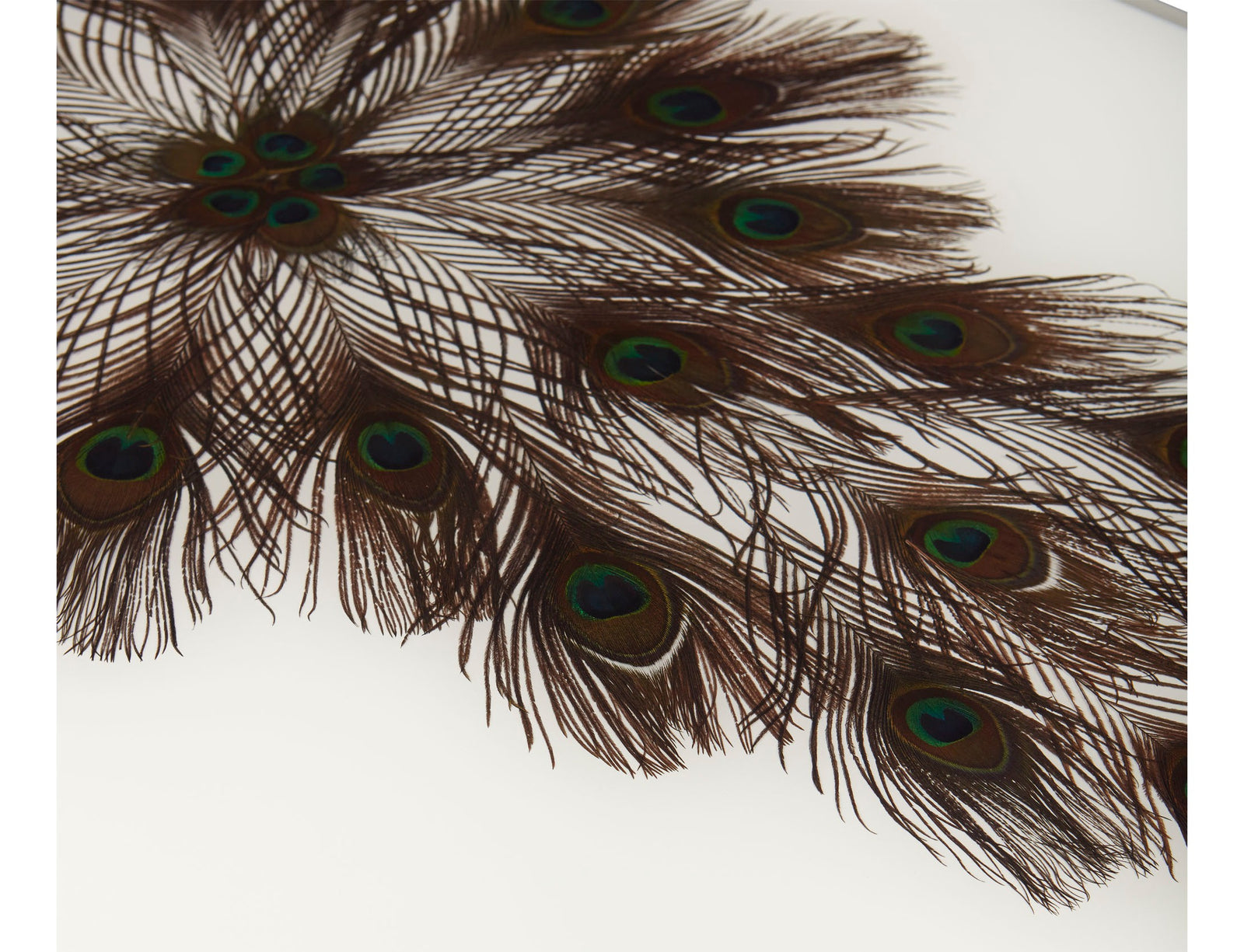 Peacock Rectangle Cocktail Table