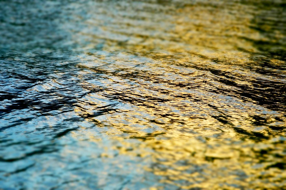 Blue and Gold 1 artwork