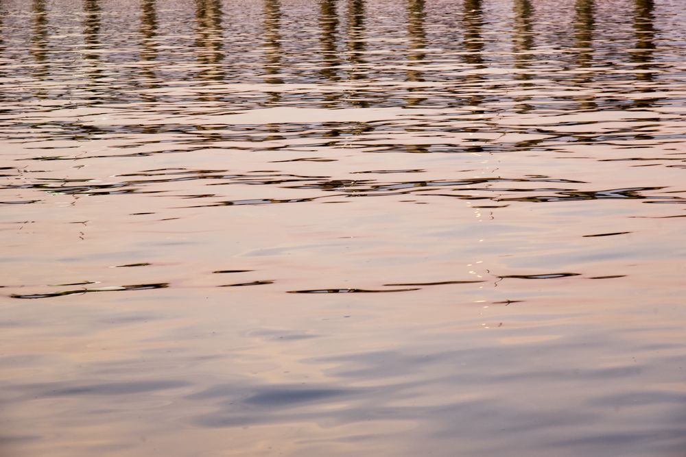 Dusk Light 1 artwork
