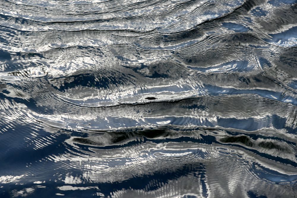 In Motion 1 artwork