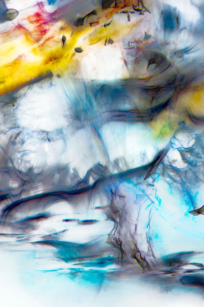 Renewed Acclivity 1 artwork