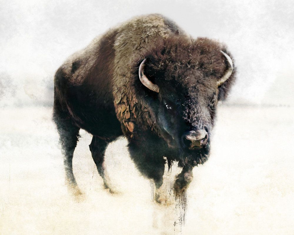 Prarie 1 artwork