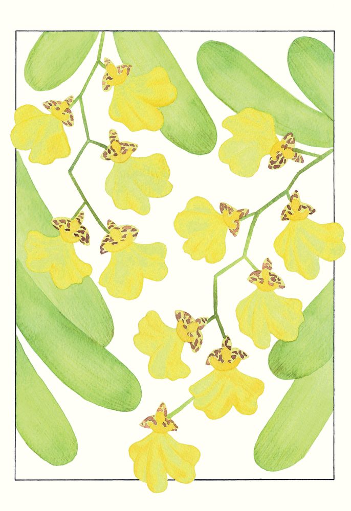 Flor de Patito 1 artwork