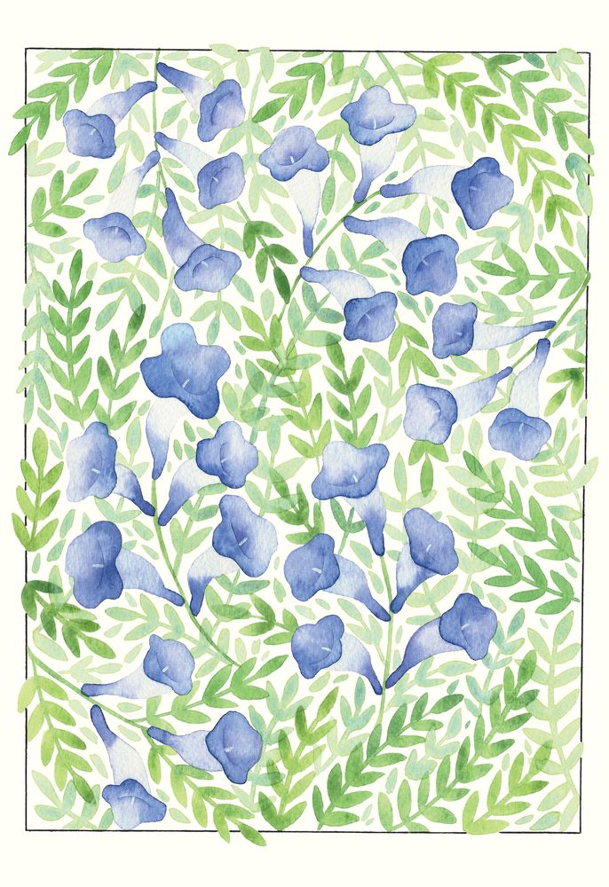 Jacaranda 1 artwork