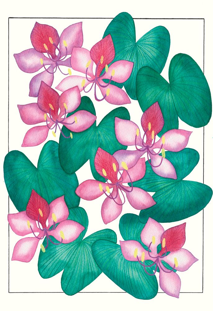 Pata de Vaca 1 artwork