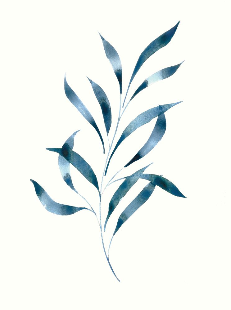 Willow Eucalyptus 1 artwork