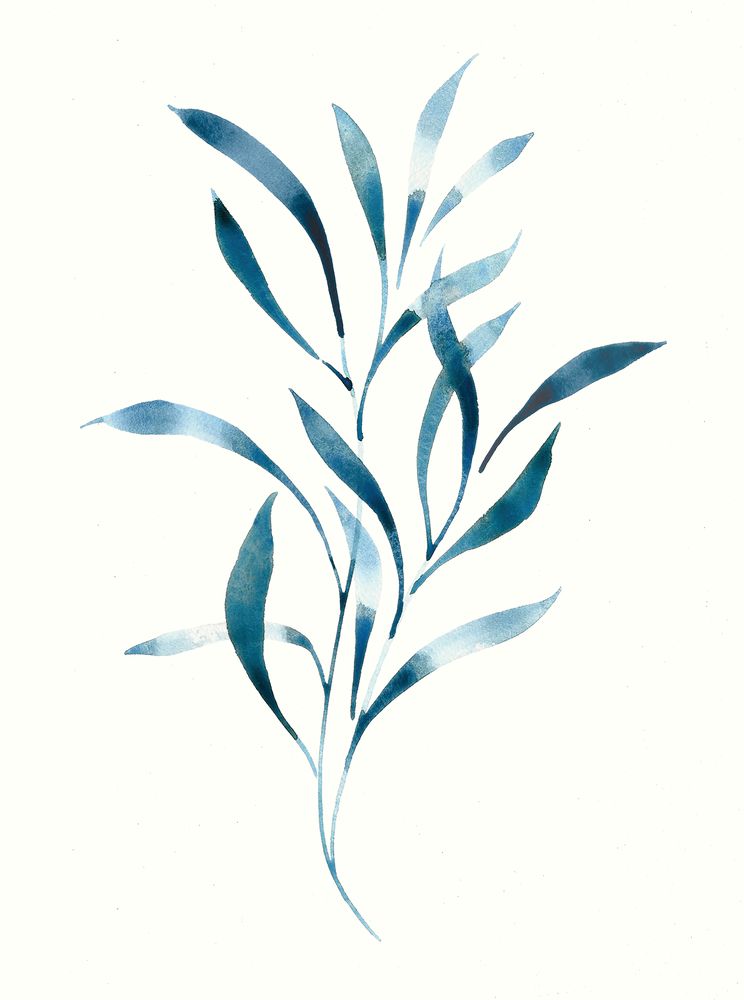 Willow Eucalyptus 2 artwork