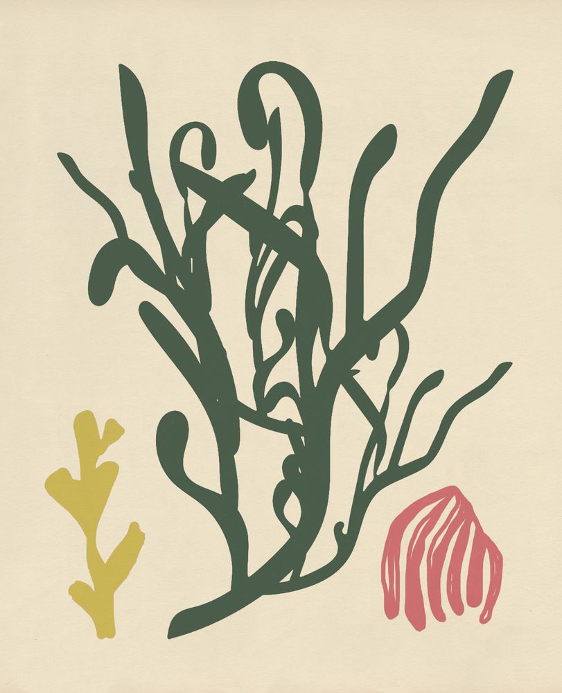 Beneath the Sea 9 artwork