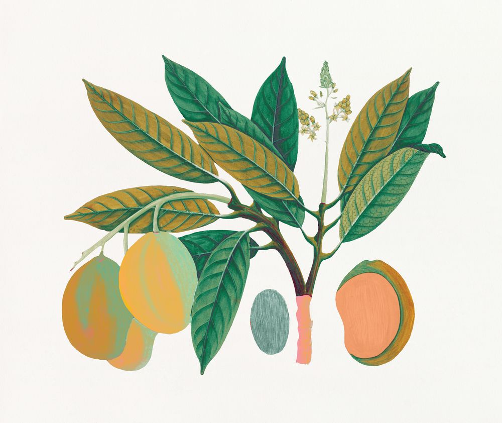 Island Harvest 2 artwork