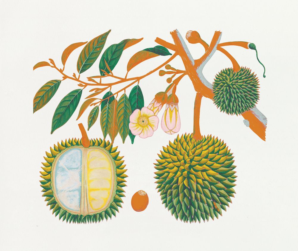 Island Harvest 3 artwork
