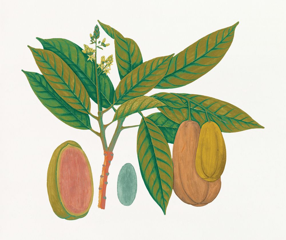 Island Harvest 6 artwork