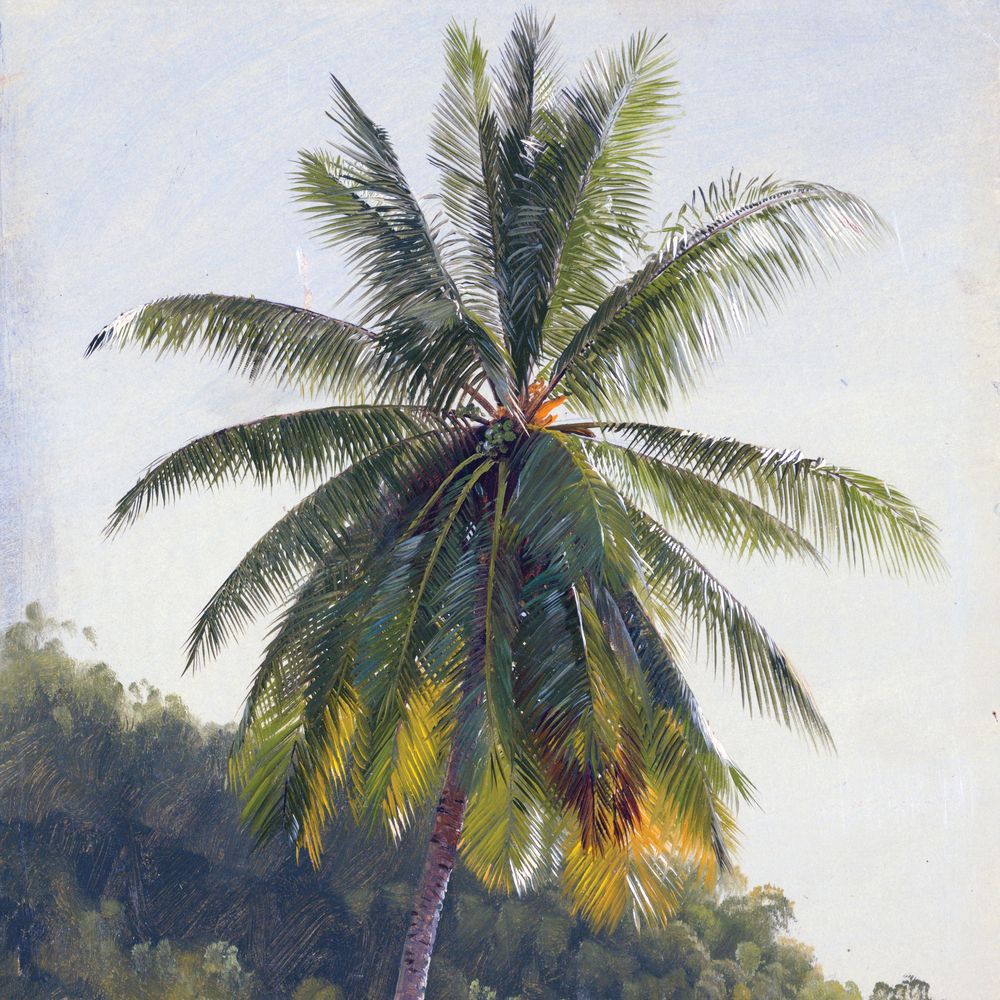 Paradise Fronds 1 artwork