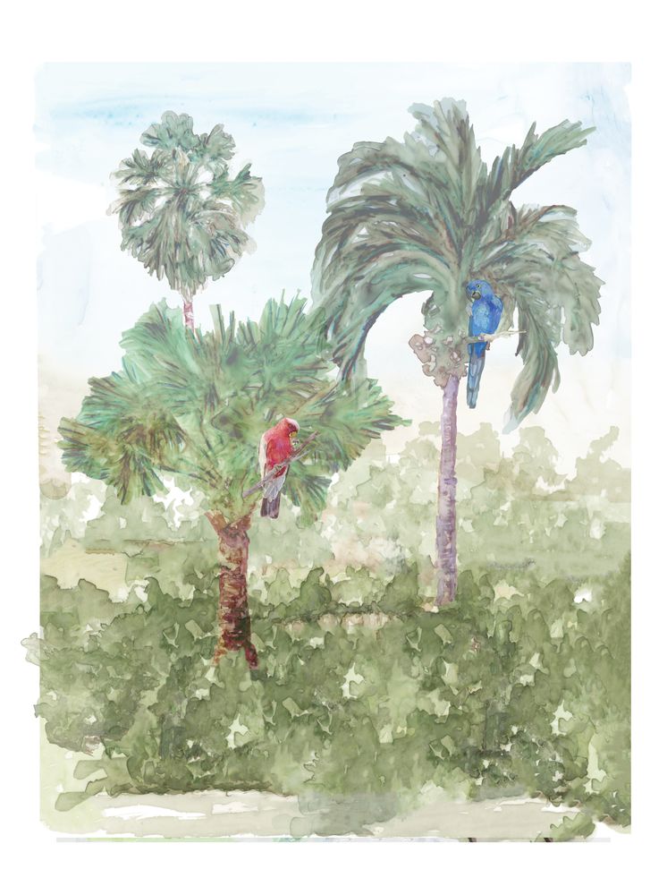 Palm Perch 1 artwork