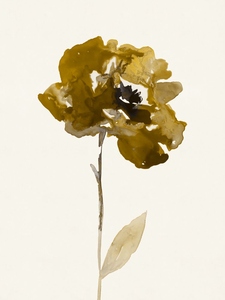 Sepia Studies 1 artwork
