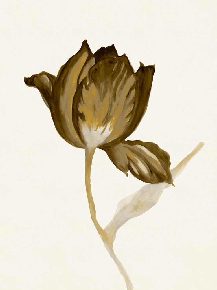 Sepia Studies 4 artwork