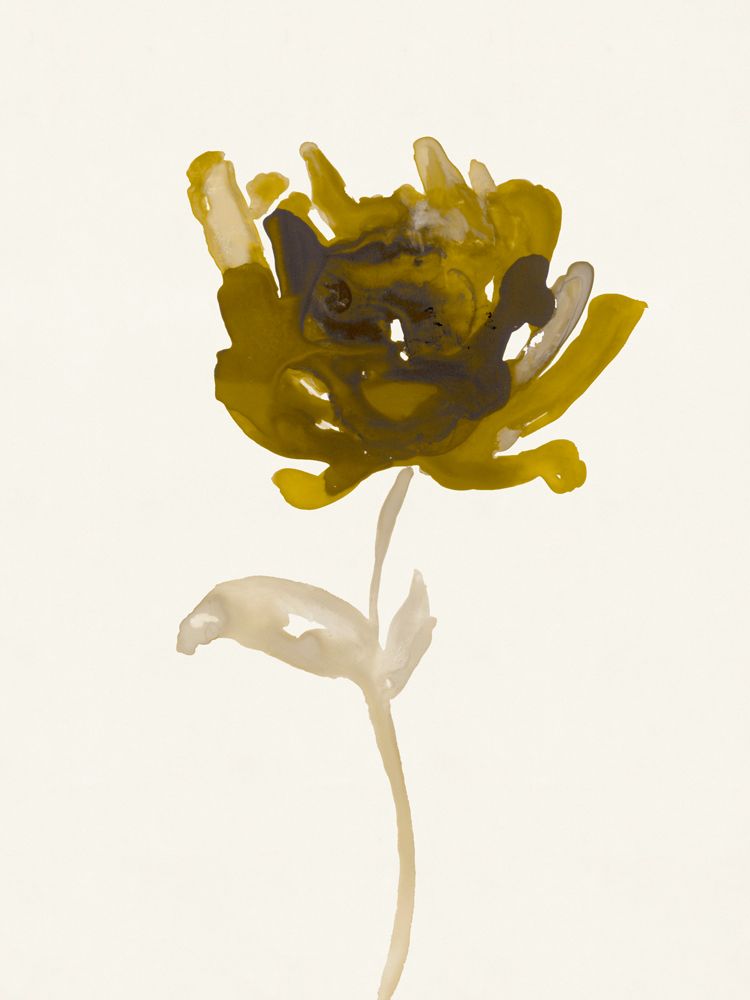 Sepia Studies 5 artwork